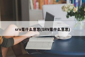 srv是什么意思(SRV是什么意思)
