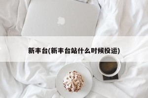 新丰台(新丰台站什么时候投运)