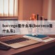 borrego是什么车(borreco是什么车)