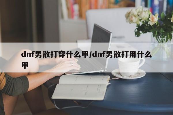 dnf男散打穿什么甲/dnf男散打用什么甲